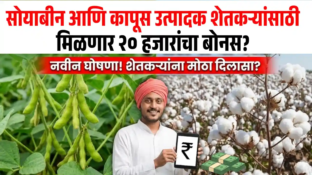 Cotton Farmer 20,000 Bonus