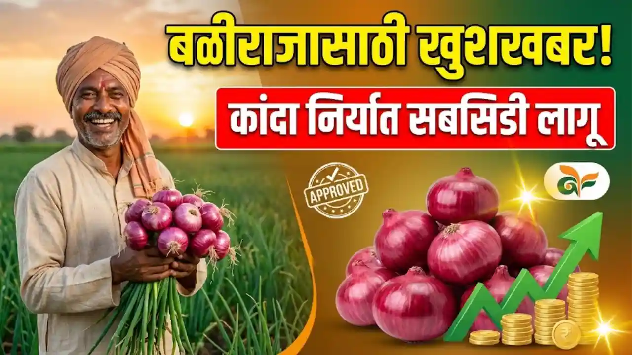 Onion Export Subsidy