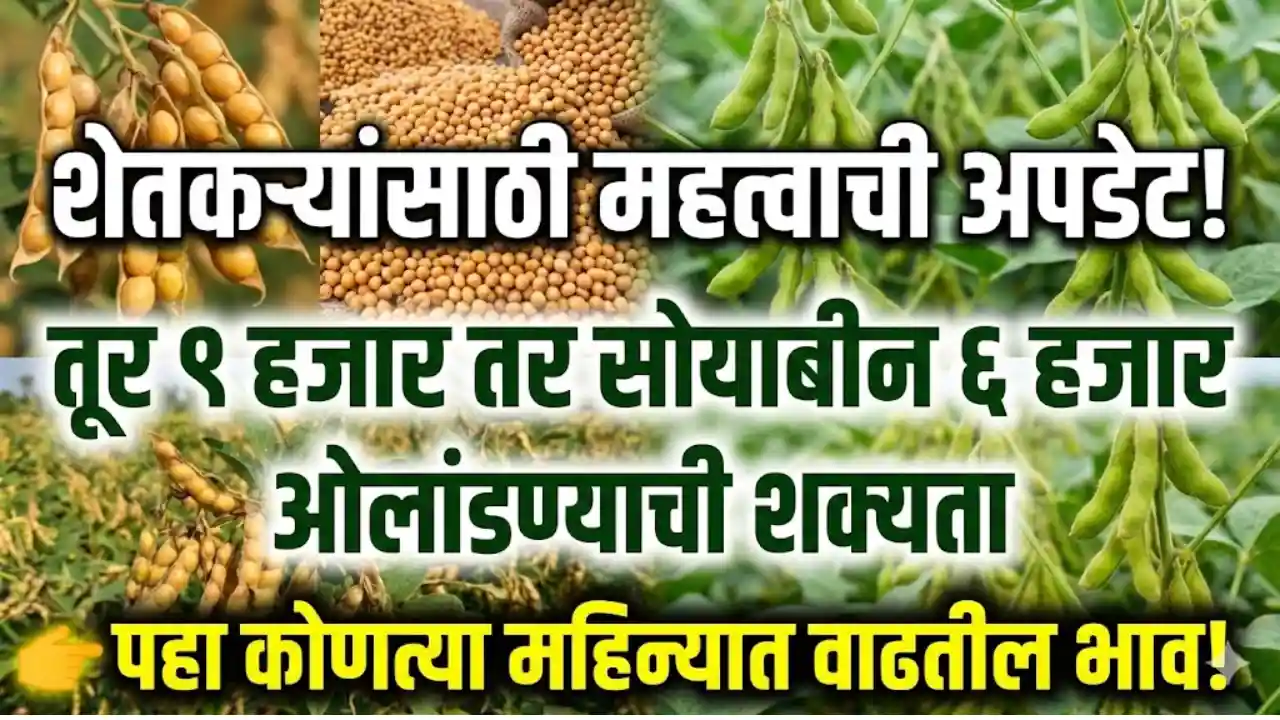 Soyabeen Rate Update