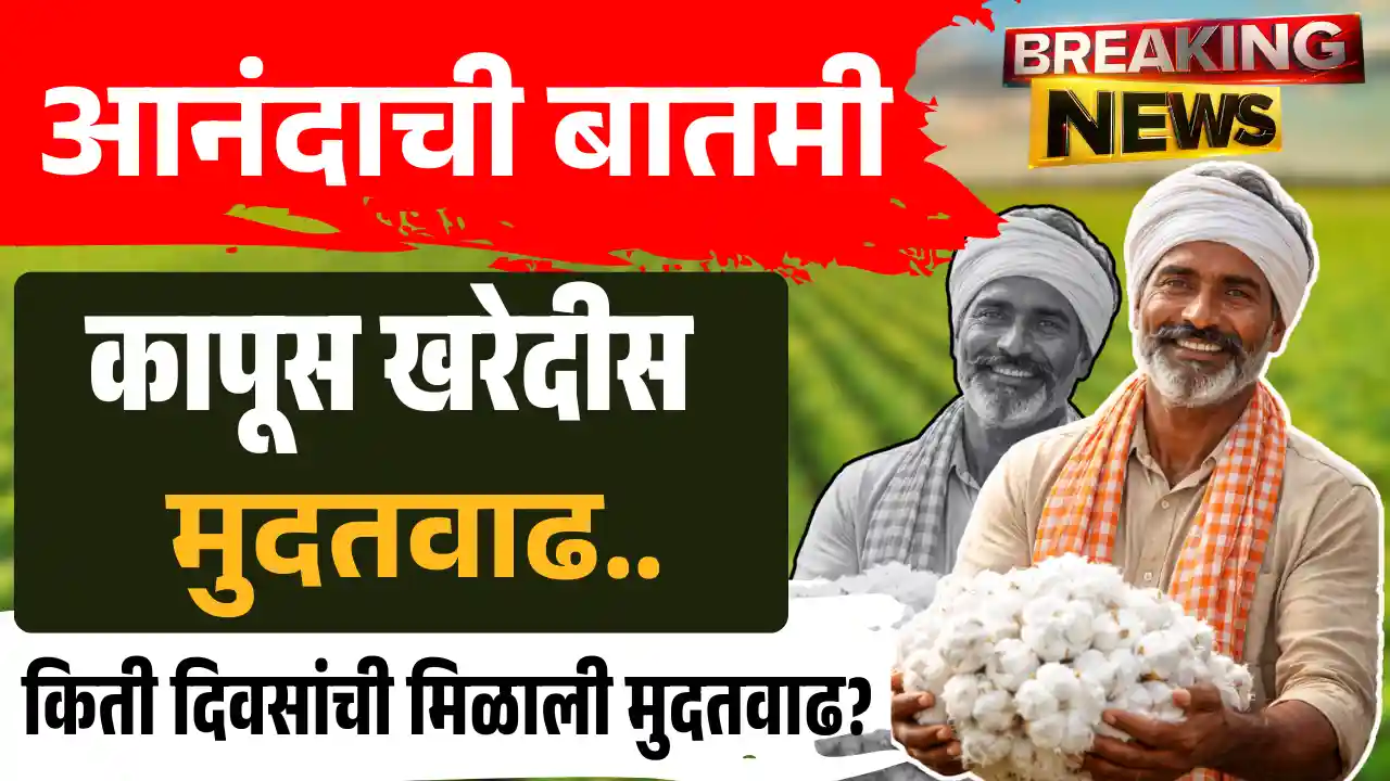 Cotton Procurement 2026