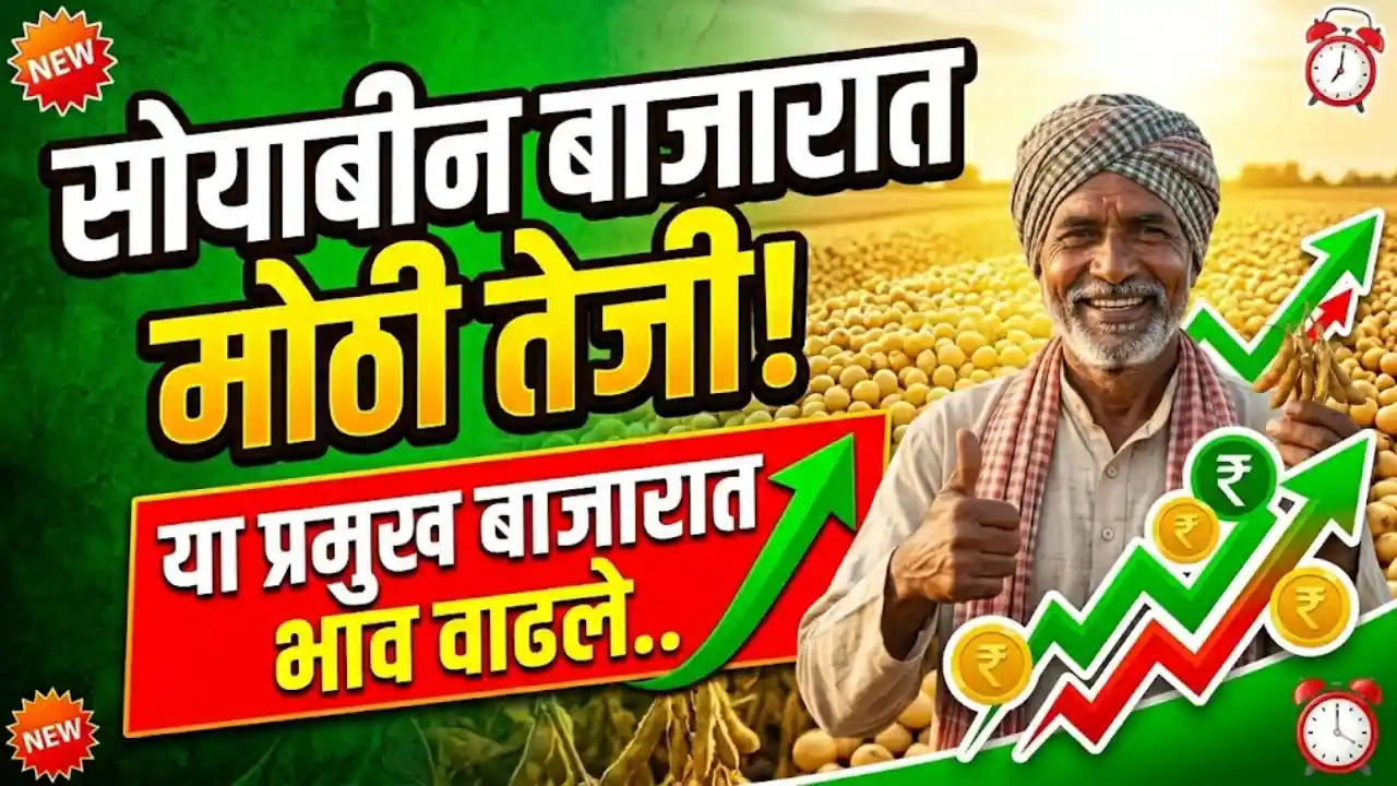 Soyabean Market Price